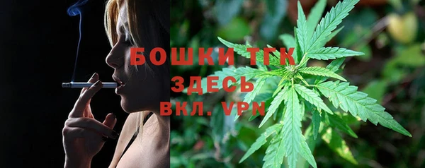 амф Бронницы