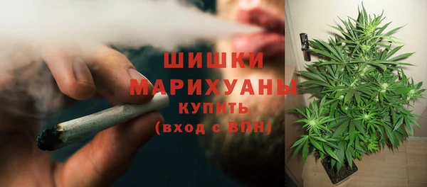 хмурый Верхний Тагил