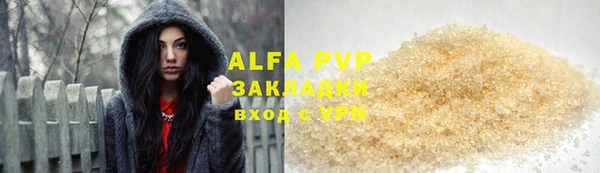 ГАЛЛЮЦИНОГЕННЫЕ ГРИБЫ Бородино