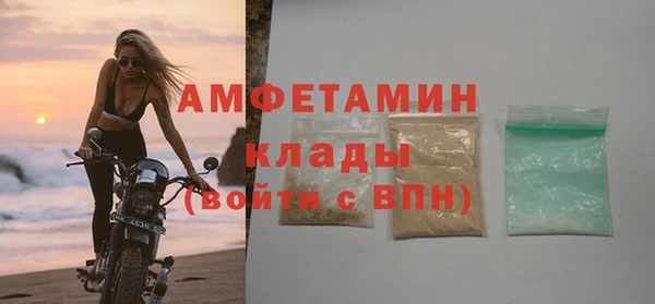 ГАЛЛЮЦИНОГЕННЫЕ ГРИБЫ Бородино