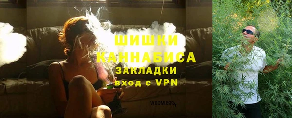 амф Бронницы