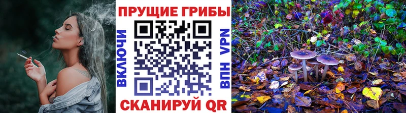 Псилоцибиновые грибы Cubensis  Нижний Новгород 